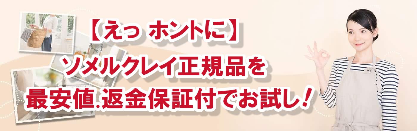 【えっ ホントに】ソメルクレイ正規品を最安値返金保証付でお試し